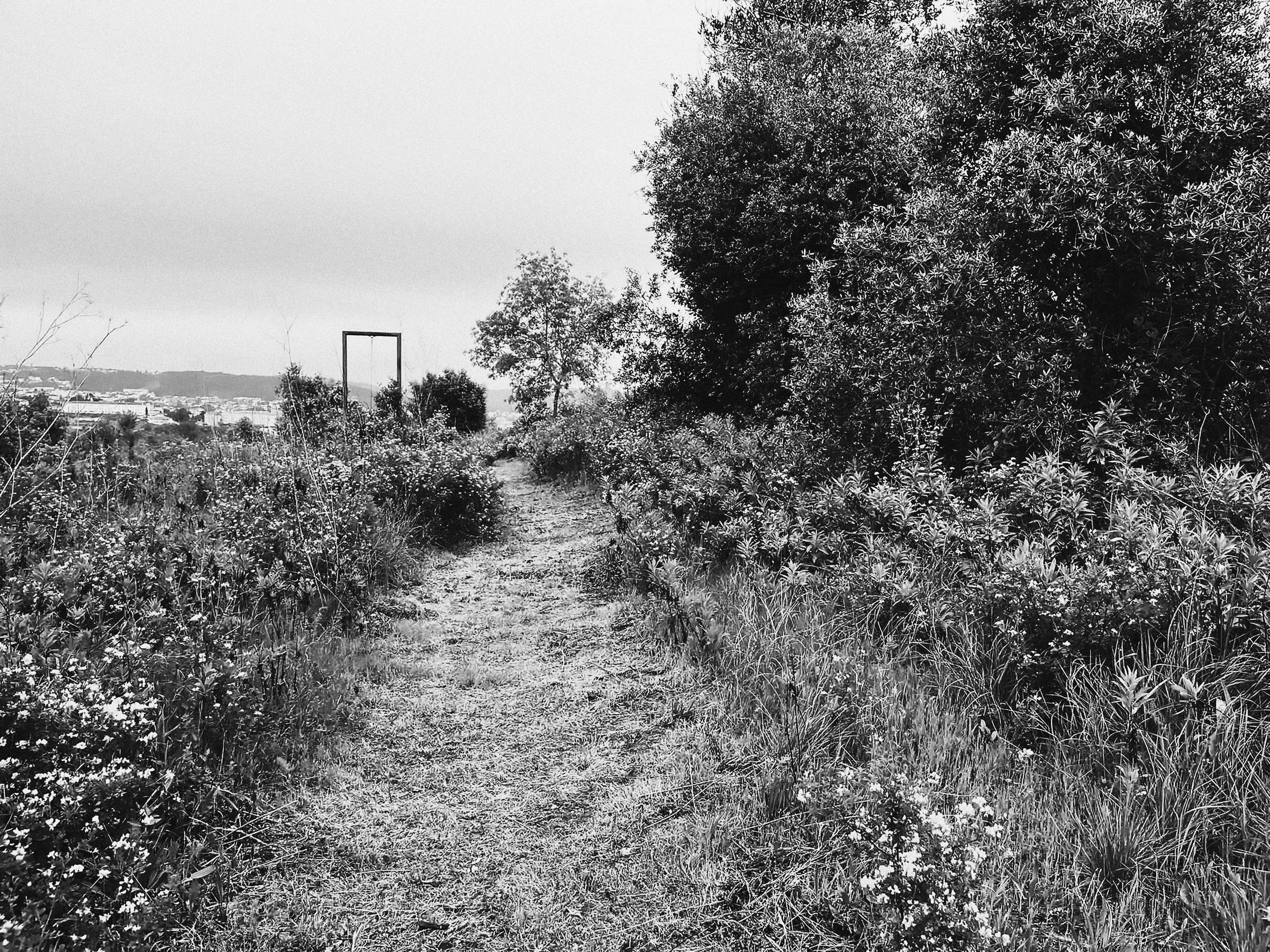 Inauguração do programa de Arquitetura: Processos