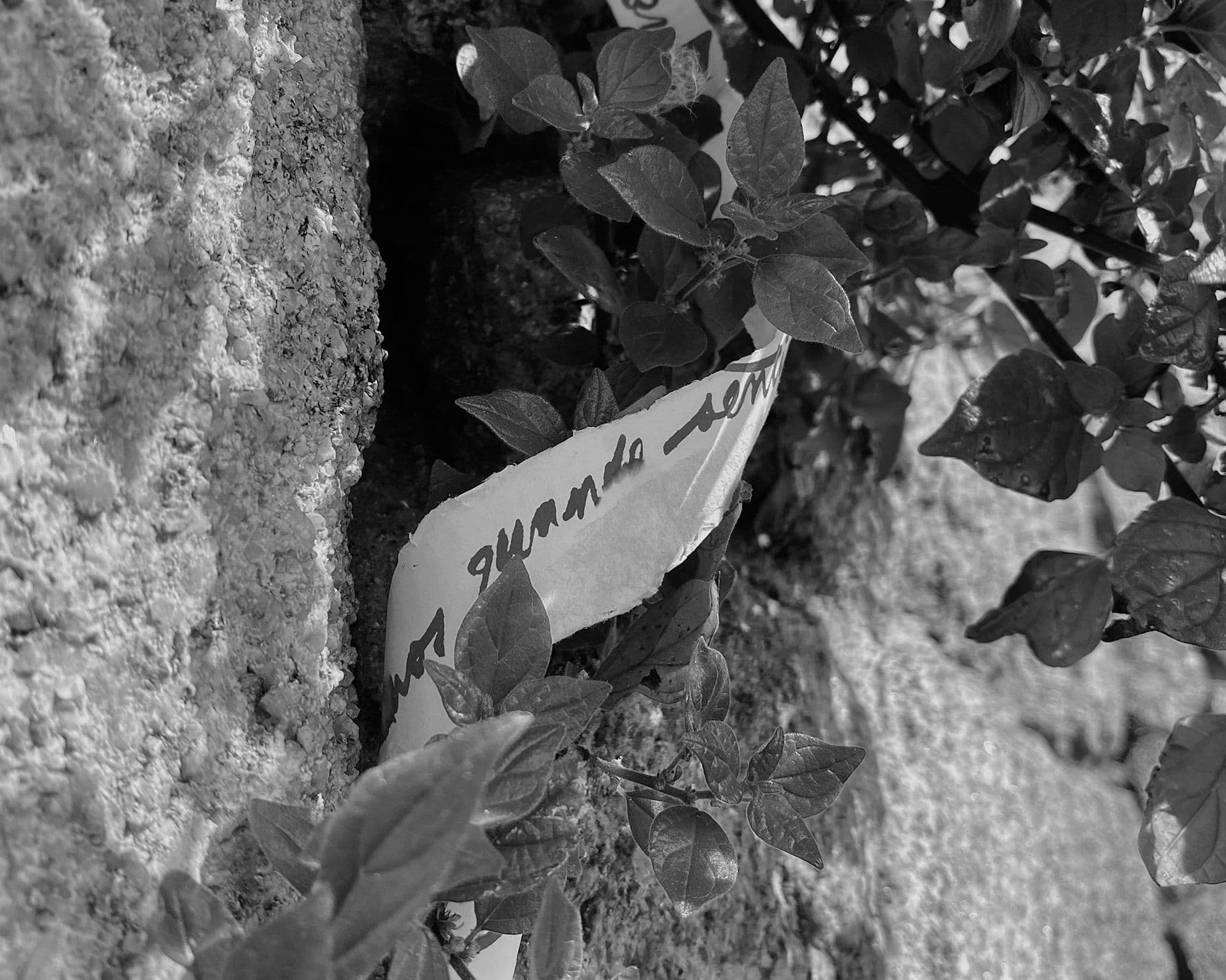 Para onde vamos quando sentimos